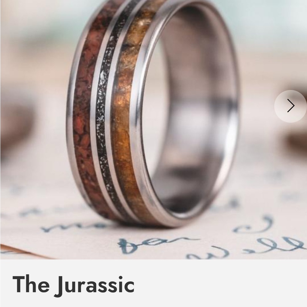 Tungsten Ring with Dinosaur Bone and Meteorite